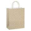 Kép 1/3 - Dísztasak CREATIVE ECO Special Plus M 18x23x10 cm kraft fóliás apró mintás sodort füles