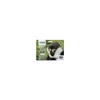 Kép 2/3 - Epson C13T08954010 T0895 multipack (eredeti)