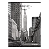 Kép 17/17 - Füzet STREET Skyline A4 54 lapos kockás