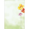 Kép 1/3 - Előnyomott papír, A4, 90g, SIGEL "Spring Flowers"