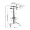 Kép 9/9 - Stell SOS 4050 37"-86" profi TV padlóállvány
