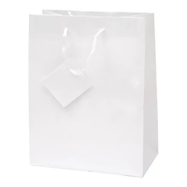 Dísztasak CREATIVE Special Simple M 18cm x 23cm x 10 cm egyszínű fehér zsinórfüles