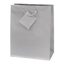 Dísztasak CREATIVE Special Simple S 11cm x 13cm x 6 cm egyszínű ezüst zsinórfüles
