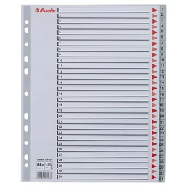 Regiszter, műanyag, A4 Maxi, 1-31, ESSELTE, szürke Regiszter, műanyag, A4 Maxi, 1-31, ESSELTE, szürke