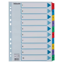 Regiszter, karton, A4, 1-10, ESSELTE "Mylar" Regiszter, karton, A4, 1-10, ESSELTE "Mylar"