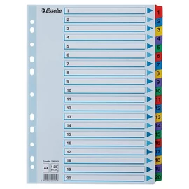 Regiszter, karton, A4, 1-20, ESSELTE "Mylar" Regiszter, karton, A4, 1-20, ESSELTE "Mylar"