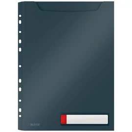 Genotherm, lefűzhető, A4 maxi, LEITZ "Cosy Privacy", bársonyszürke, 3db/cs Genotherm, lefűzhető, A4 maxi, LEITZ "Cosy Privacy", bársonyszürke, 3db/cs