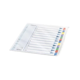 Regiszter, karton, A4, 1-12, ESSELTE "Mylar" Regiszter, karton, A4, 1-12, ESSELTE "Mylar"