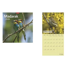 Naptár, fali, TOPTIMER "Madarak"