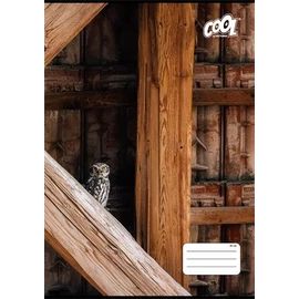 Füzet, tűzött, A4, vonalas, 32 lap, COOL BY VICTORIA "Texture", "81-32" Füzet, tűzött, A4, vonalas, 32 lap, COOL BY VICTORIA "Texture", "81-32"