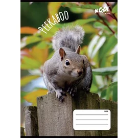 Füzet, tűzött, A5, vonalas, 32 lap, 2. osztály, COOL BY VICTORIA, "Peekaboo", "16-32" Füzet, tűzött, A5, vonalas, 32 lap, 2. osztály, COOL BY VICTORIA, "Peekaboo", "16-32"