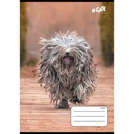 Füzet, tűzött, A5, kockás, 32 lap, COOL BY VICTORIA, "Dogs", 27-32 Füzet, tűzött, A5, kockás, 32 lap, COOL BY VICTORIA, "Dogs", 27-32