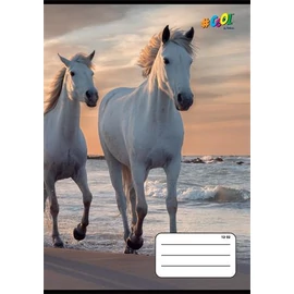 Füzet, tűzött, A5, vonalas, 32 lap, 3. osztály, COOL BY VICTORIA, "Horses", "12-32" Füzet, tűzött, A5, vonalas, 32 lap, 3. osztály, COOL BY VICTORIA, "Horses", "12-32"