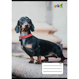 Füzet, tűzött, A5, kockás, 32 lap, COOL BY VICTORIA, "Hounds", 27-32 Füzet, tűzött, A5, kockás, 32 lap, COOL BY VICTORIA, "Hounds", 27-32