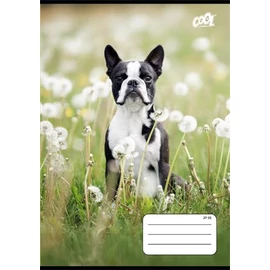 Füzet, tűzött, A5, kockás, 32 lap, COOL BY VICTORIA "B&W dogs", "27-32" Füzet, tűzött, A5, kockás, 32 lap, COOL BY VICTORIA "B&W dogs", "27-32"