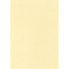 Előnyomott papír, A4, 95 g, pergamen hatású, APLI, pezsgő, 100lap/cs Előnyomott papír, A4, 95 g, pergamen hatású, APLI, pezsgő, 100lap/cs