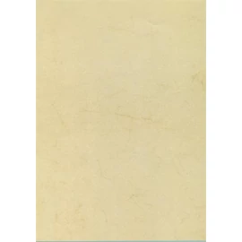 Előnyomott papír, A4, 200 g, APLI, havanna, 10lap/cs Előnyomott papír, A4, 200 g, APLI, havanna, 10lap/cs