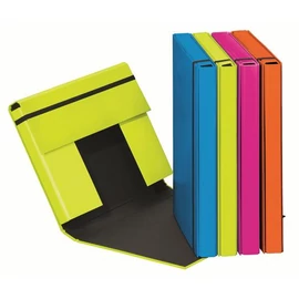 Füzetbox, A5, 40 mm, karton, PAGNA "Trend", vegyes színek Füzetbox, A5, 40 mm, karton, PAGNA "Trend", vegyes színek