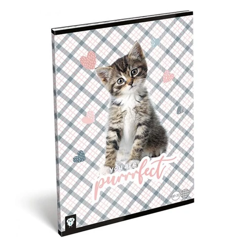 Füzet LIZZY CARD A4 32 lapos kockás 87-32 purrrfect