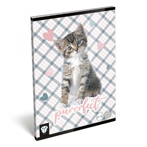 Füzet LIZZY CARD A5 32 lapos vonalas 21-32 purrrfect