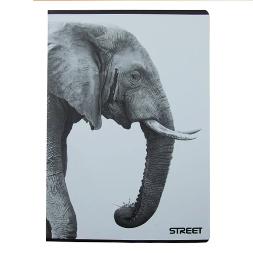 Füzet STREET Safari A4 54 lapos kockás