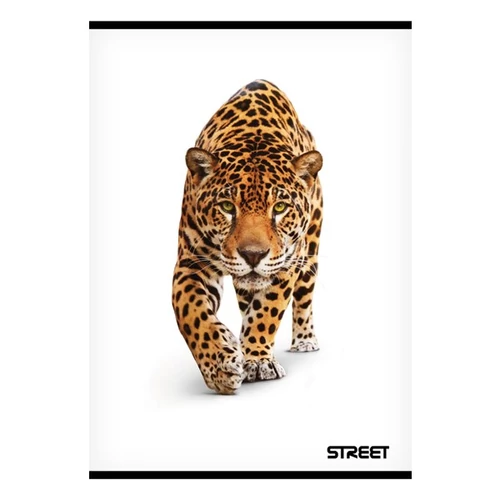 Füzet STREET Safari A5 54 lapos sima