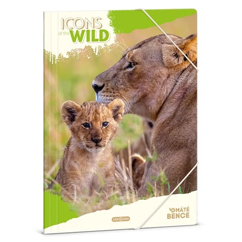 Gumis mappa ARS UNA A/4 Icons of the Wild-Lions