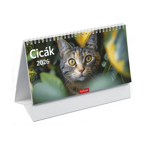 Naptár, asztali, álló, TOPTIMER, "Cicák"