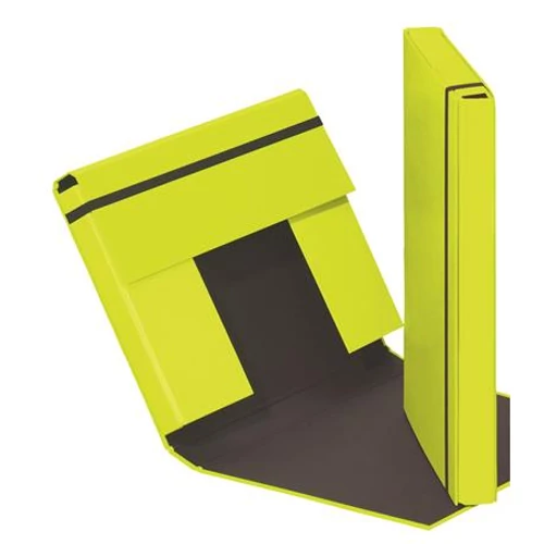 Füzetbox, A4, 40 mm, karton, PAGNA "Trend", lime zöld