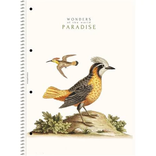 Spirálfüzet, A4, vonalas, 80 lap, SHOLYARYK "College Block Wonders", vegyes